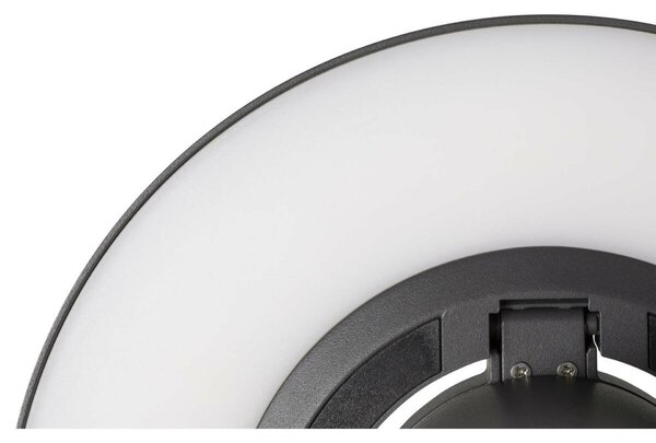 BIG WHITE SLV I-RING nástěnné přisazené svítidlo, 9,2 W, 3000 K, antracit 1007236