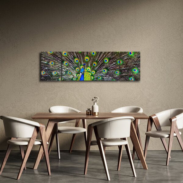 Obraz - Páv (170x50 cm)