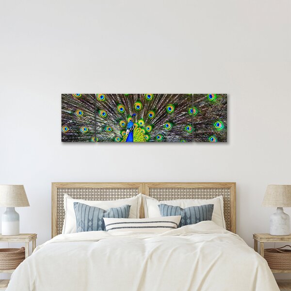 Obraz - Páv (170x50 cm)