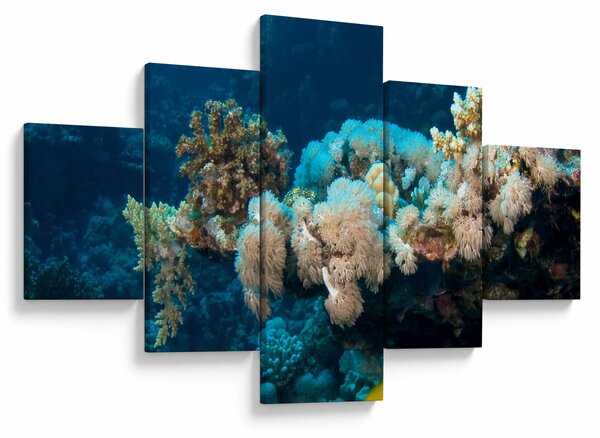 Obraz - V oceánu (125x70 cm)