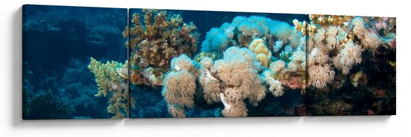 Obraz - V oceánu (170x50 cm)