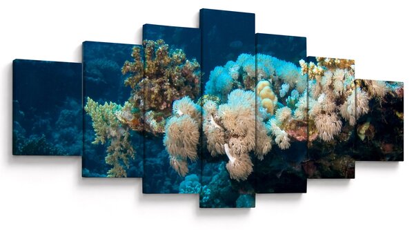 Obraz - V oceánu (210x100 cm)