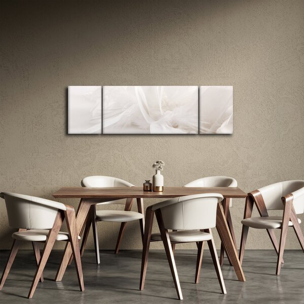 Obraz - Peří (170x50 cm)