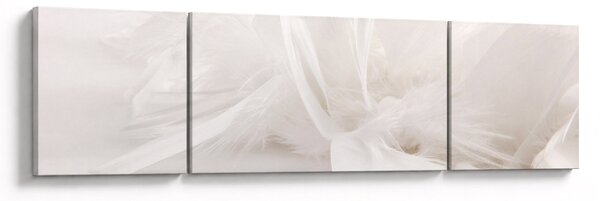 Obraz - Peří (170x50 cm)