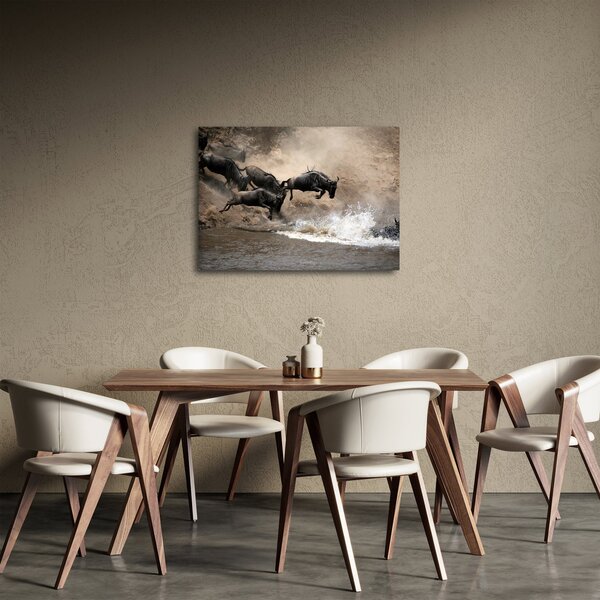 Obraz - Stádo pakoňů (70x50 cm)