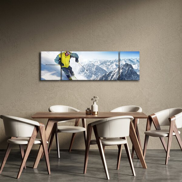 Obraz - Lyžař (170x50 cm)