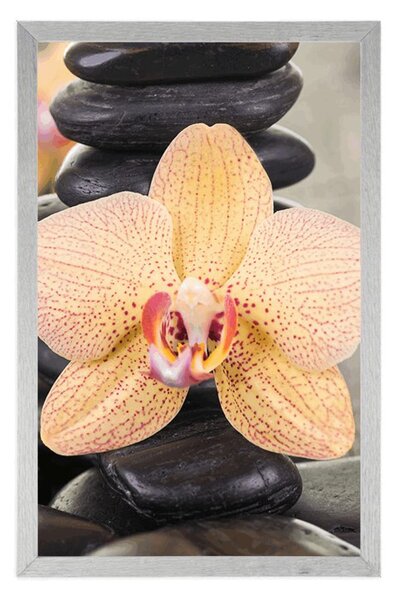 Plakát žlutá orchidej a Zen kameny