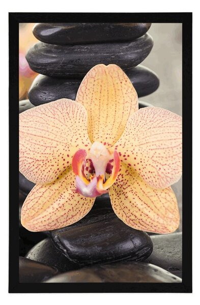 Plakát žlutá orchidej a Zen kameny