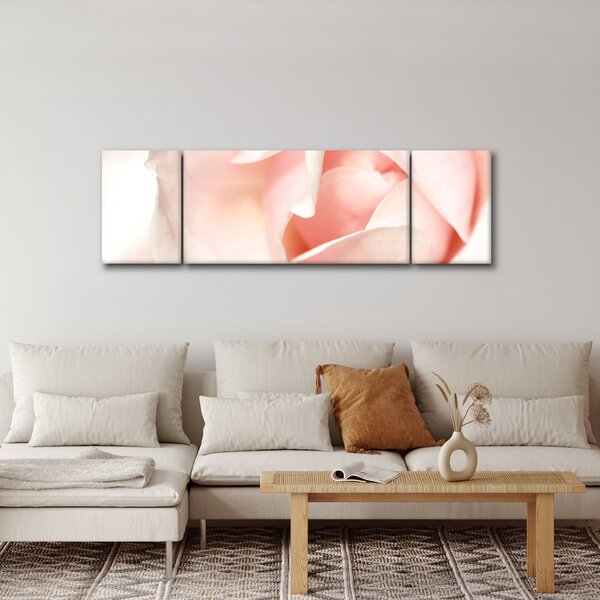 Obraz - Růže (170x50 cm)