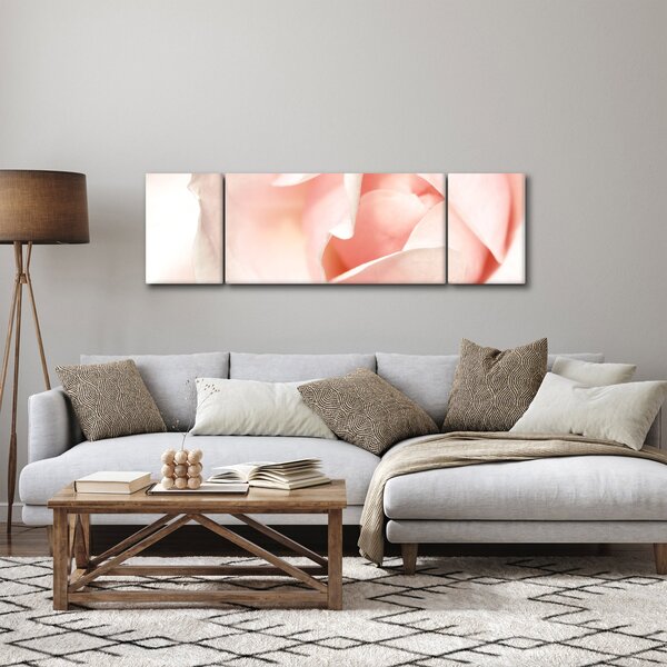 Obraz - Růže (170x50 cm)