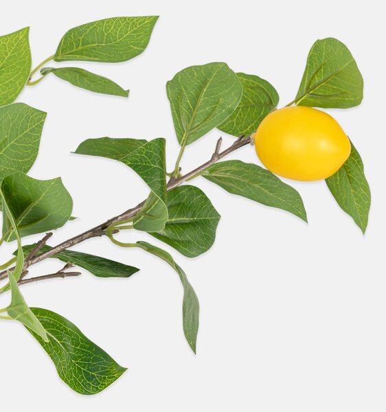 Sinsay - Dekorativní rostlina s motivem citronů - vícebarevná