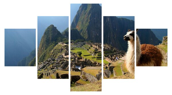 Obraz - Lama a Machu Picchu (125x70 cm)