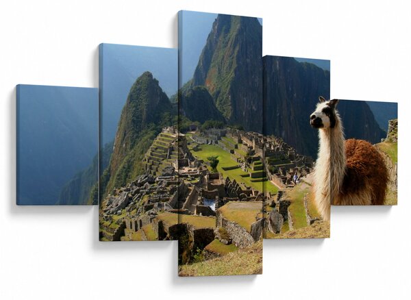 Obraz - Lama a Machu Picchu (125x70 cm)