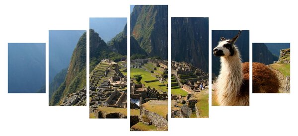 Obraz - Lama a Machu Picchu (210x100 cm)