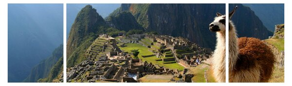 Obraz - Lama a Machu Picchu (170x50 cm)