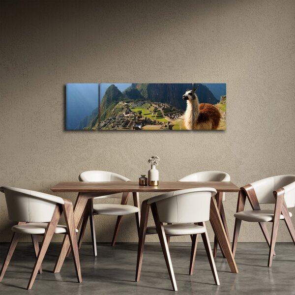 Obraz - Lama a Machu Picchu (170x50 cm)