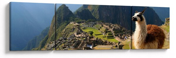 Obraz - Lama a Machu Picchu (170x50 cm)