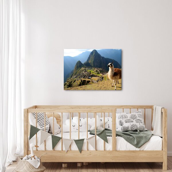 Obraz - Lama a Machu Picchu (70x50 cm)