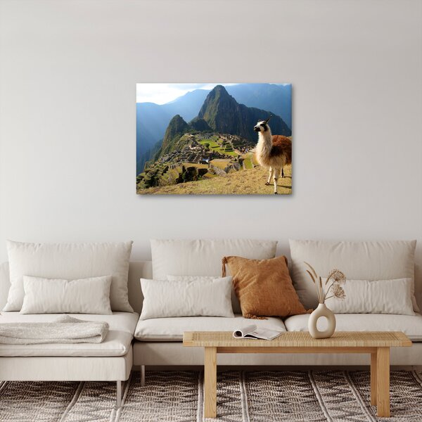 Obraz - Lama a Machu Picchu (70x50 cm)