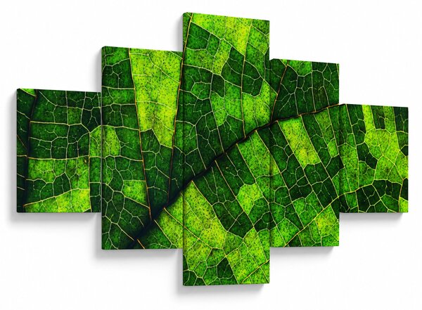 Obraz - Detail listu (125x70 cm)