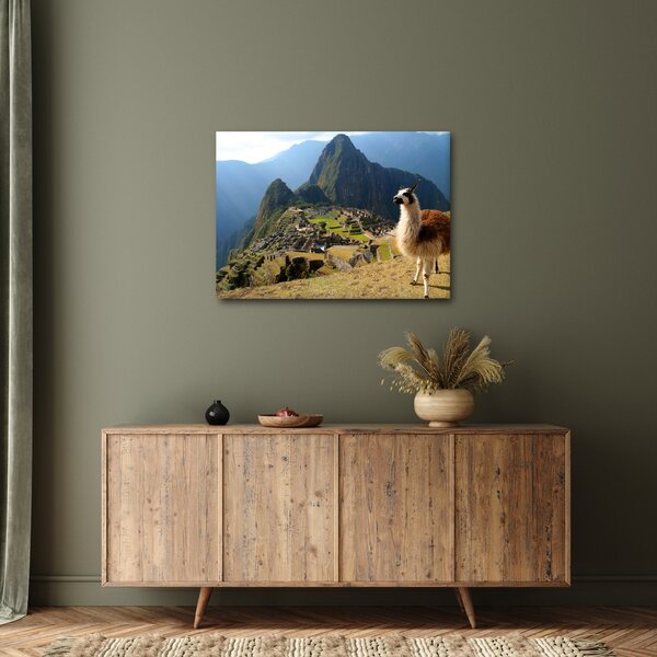 Obraz - Lama a Machu Picchu (70x50 cm)