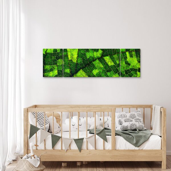 Obraz - Detail listu (170x50 cm)