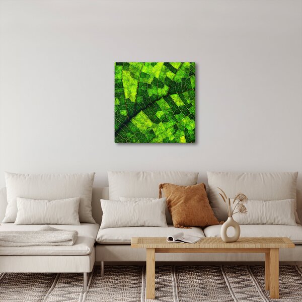 Obraz - Detail listu (30x30 cm)