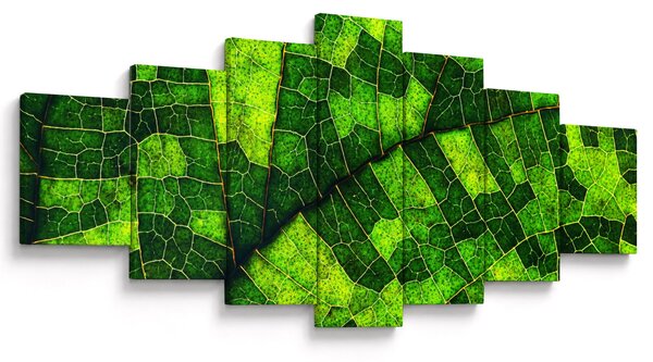 Obraz - Detail listu (210x100 cm)
