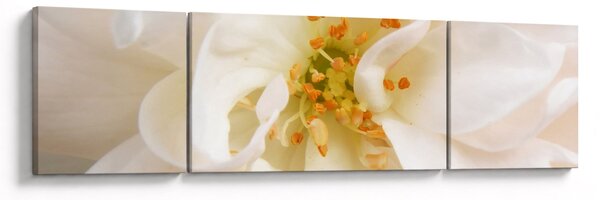 Obraz - Květ (170x50 cm)