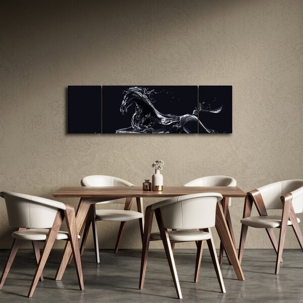 Obraz - Kůň a voda (170x50 cm)