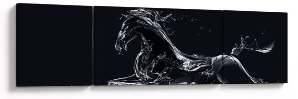 Obraz - Kůň a voda (170x50 cm)