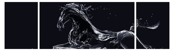 Obraz - Kůň a voda (170x50 cm)