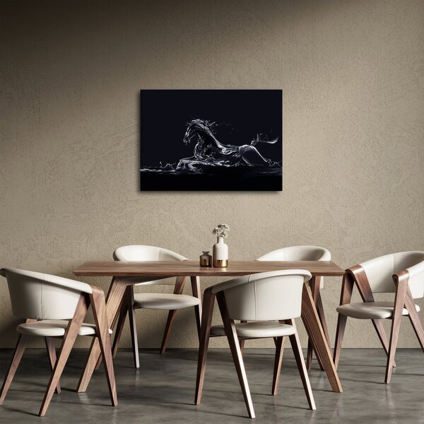 Obraz - Kůň a voda (70x50 cm)
