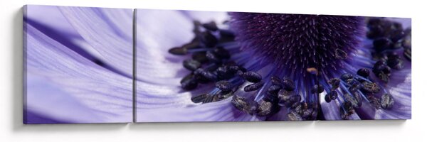 Obraz - Fialový květ (170x50 cm)