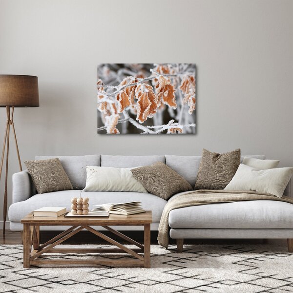 Obraz - Zmrzlé listy (70x50 cm)