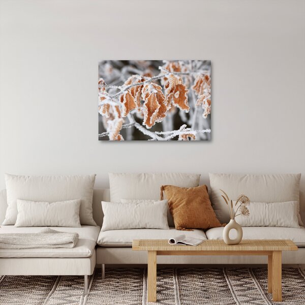 Obraz - Zmrzlé listy (70x50 cm)