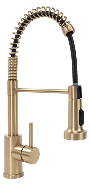 REA-B4821 - Dřezová baterie s vytahovací sprškou COLIN 42,5 cm broušená zlatá