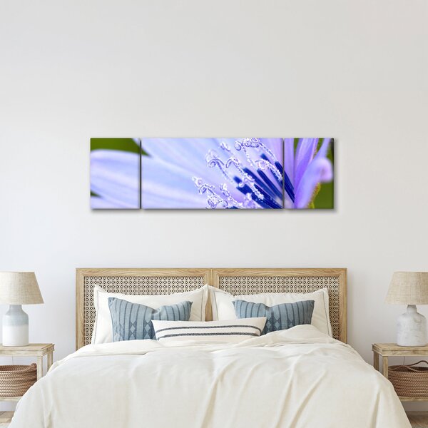 Obraz - květ (170x50 cm)