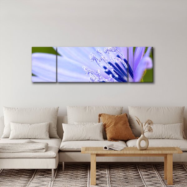 Obraz - květ (170x50 cm)