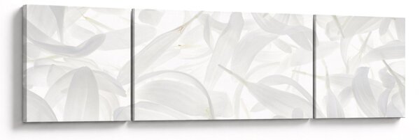 Obraz - Okvětní lístky (170x50 cm)