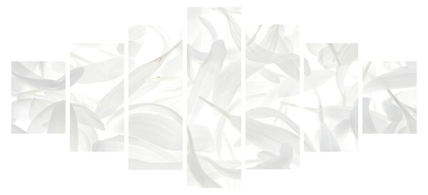 Obraz - Okvětní lístky (210x100 cm)