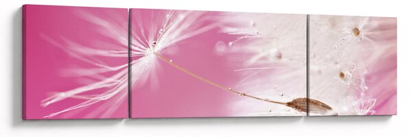 Obraz - Makro květu (170x50 cm)
