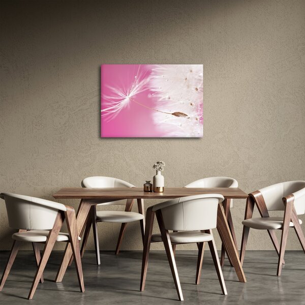 Obraz - Makro květu (70x50 cm)
