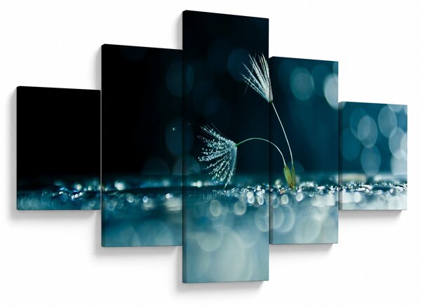 Obraz - Makro (125x70 cm)