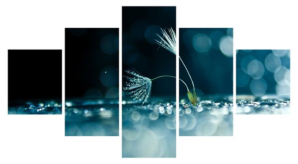 Obraz - Makro (125x70 cm)