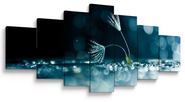 Obraz - Makro (210x100 cm)