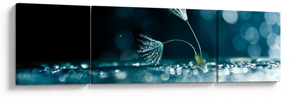 Obraz - Makro (170x50 cm)