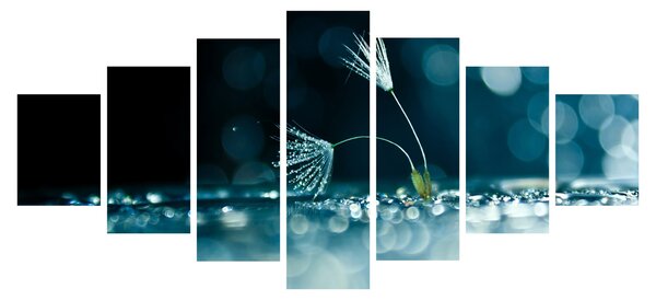 Obraz - Makro (210x100 cm)