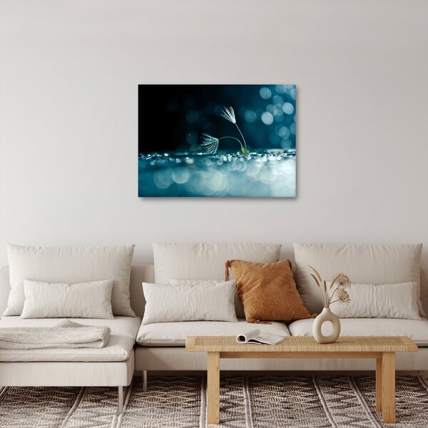 Obraz - Makro (70x50 cm)