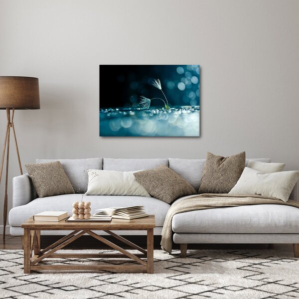 Obraz - Makro (70x50 cm)
